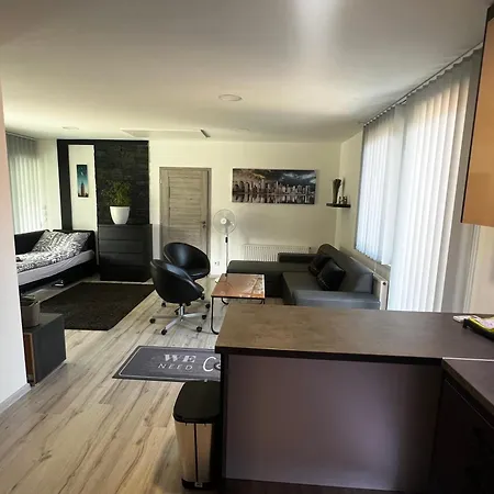 U Svatych Apartament *