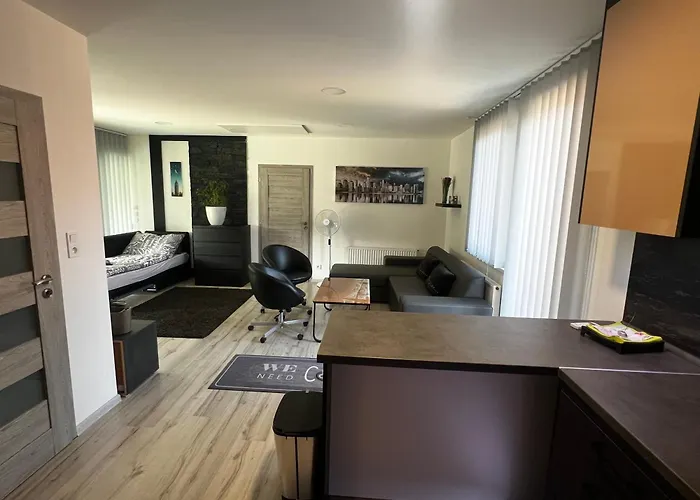 U Svatych Apartment *